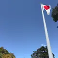 出雲大社 神楽殿の写真_729763