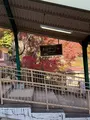 大山ケーブルカーの写真_729973