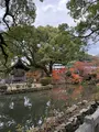 太宰府天満宮の写真_732672