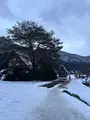 白川郷の写真_733246
