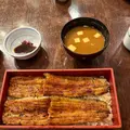 鰻 やっこの写真_733807