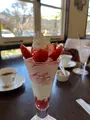 オルソンさんのいちごの写真_733812