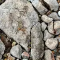 倶多楽湖の写真_734052
