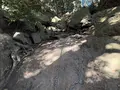 大甕神社（大甕倭文神社）の写真_736215