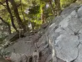 大甕神社（大甕倭文神社）の写真_736216