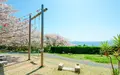 桃井ミュージアムの写真_742516