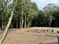 バターのいとこの写真_742569