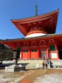 金剛峯寺 根本大塔の写真_742677