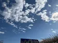 小田原牧場アイス工房の写真_744438