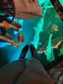 アトア（átoa）の写真_744660