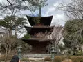 豪徳寺の写真_745945