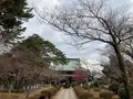豪徳寺の写真_745946