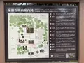 豪徳寺の写真_745949