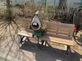 鬼太郎ひろばの写真_746565