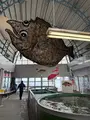 多々羅しまなみ公園の写真_747000