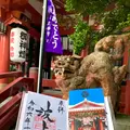 波上宮の写真_749992