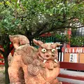 波上宮の写真_749995