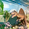 ナゴパイナップルパークの写真_750037