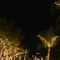 ザ・ブセナテラスの写真_750047