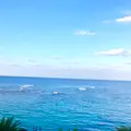 ベッセルホテルカンパーナ沖縄の写真_750092