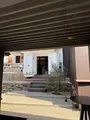 mameノマノマ（マメノマノマ）の写真_750207
