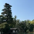 兼六園の写真_750245