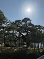 兼六園の写真_750248