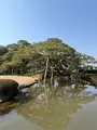 兼六園の写真_750249
