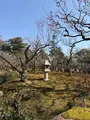 兼六園の写真_750250