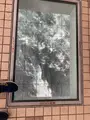 渦の道の写真_751174