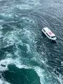 渦の道の写真_751175