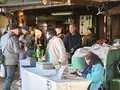若葉の写真_751936