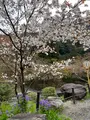 八瀬比叡山口駅の写真_752690