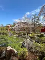 蓮華王院 三十三間堂の写真_752697
