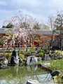 蓮華王院 三十三間堂の写真_752698