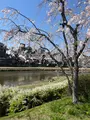 B STORE ビーストアの写真_752704