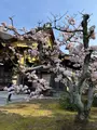 二条城の写真_752709
