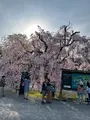 二条城の写真_752710