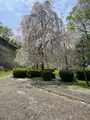 盛岡城跡公園 (岩手公園)の写真_756965