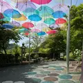 宝徳寺の写真_756974