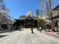 熊野神社（十二社熊野神社）の写真_757845