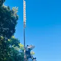 熱田神宮の写真_762238