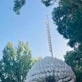 熱田神宮の写真_762242