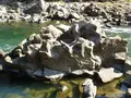 立木音楽堂の写真_80936