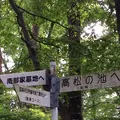 聖寿禅寺の写真_81930