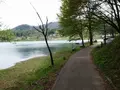 中綱湖の写真_82331