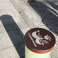 アイキャナルストリートの写真_83499