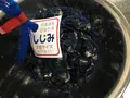 宍道湖の写真_83804