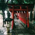 花園神社の写真_84796