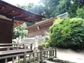 宇治上神社の写真_84962
